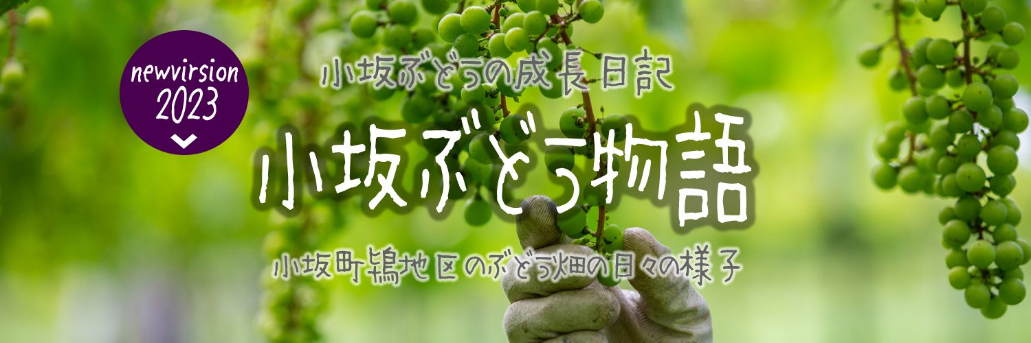 kosaka_SP_header1500-500_2023V